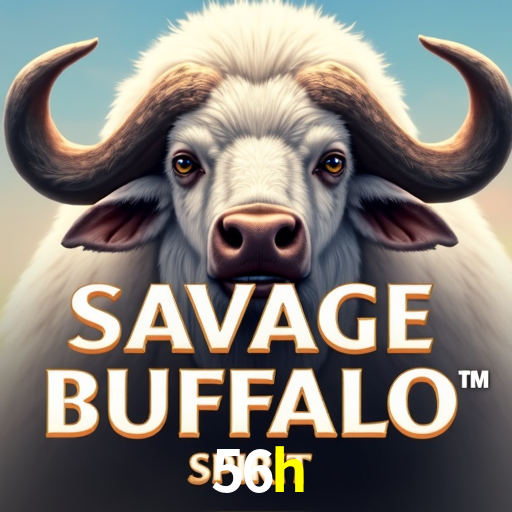 Apostas Esportivas na 56h: Um Guia Completo